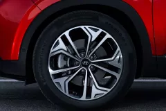 hyundai-santa-fe-4-do-rest-5